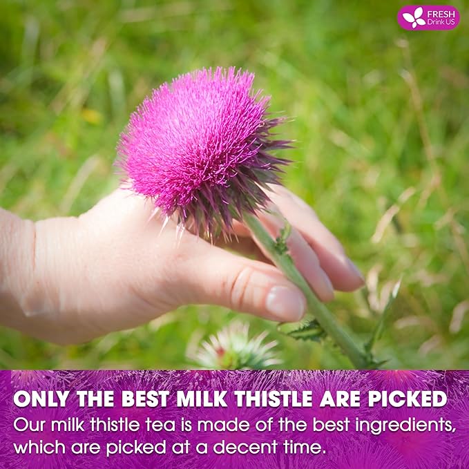 FreshDrinkUS, Premium 205 Milk Thistle Tea Bags, 100% Natural & Pure from Milk Thistle Seeds. Milk Thistle Seed Herbal Tea. Made with Natural Material Tea Bags. No Sugar, No Caffeine, No Gluten, Vegan.