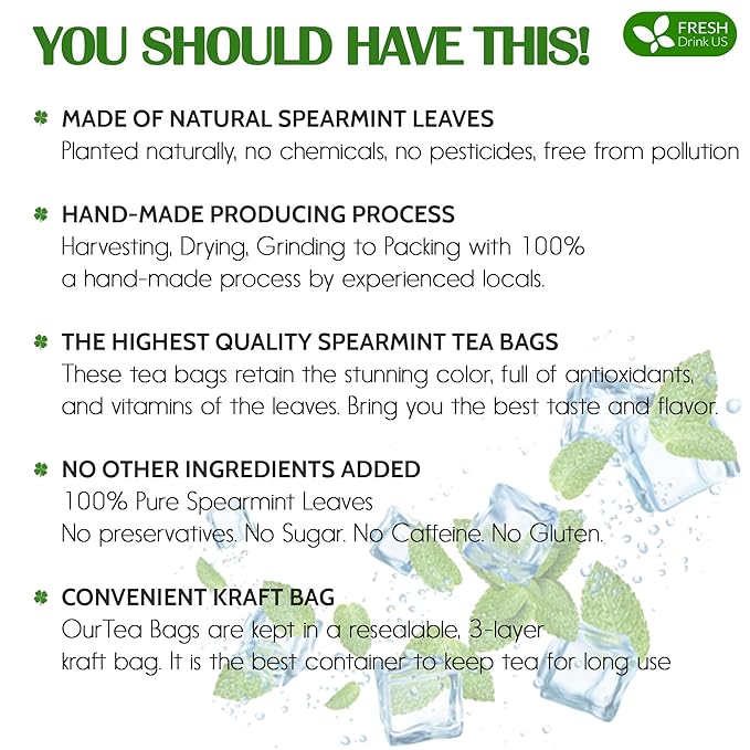 FreshDrinkUS, Premium 135 Spearmint Tea Bags, 100% Natural & Pure from Spearmint Leaves. Loose Leaf Spearmint Herbal Tea. Made with Natural Material Tea Bags. No Sugar, No Caffeine, No Gluten, Vegan.