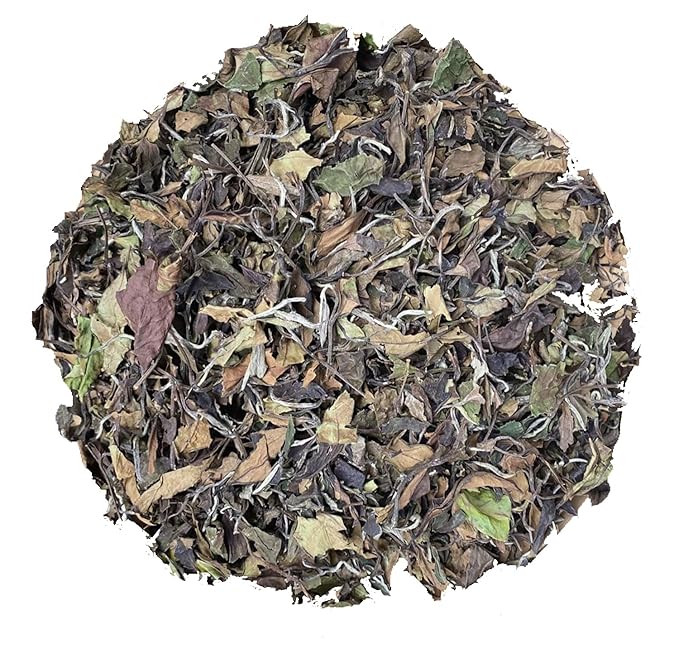 HOYNISE - Organic White Tea Loose Leaf - Moonlight White Tea - Naturally Smooth Flavor - High Elevation Grown - Rich in Antioxidants, 25 Cups/1.76oz