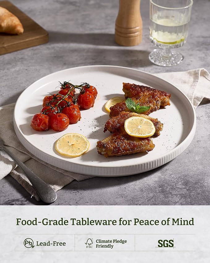 famiware Star Dinner Plates for 6, 10 inches Plate Set, Scratch Resistant, Stoneware Dinnerware, Kitchen Modern Rustic Serving Dishes, Matte White (Pack of 2)