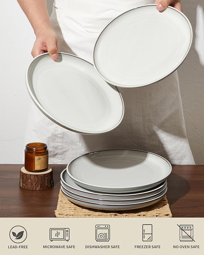 Pokini 10 Inch Ceramic Plates, White Dinner Plate Set for Dessert Pizza Steak, Terracotta Kitchen Stoneware Serving Dishes Set, Dishwasher & Microwave Safe, Scratch Resistant