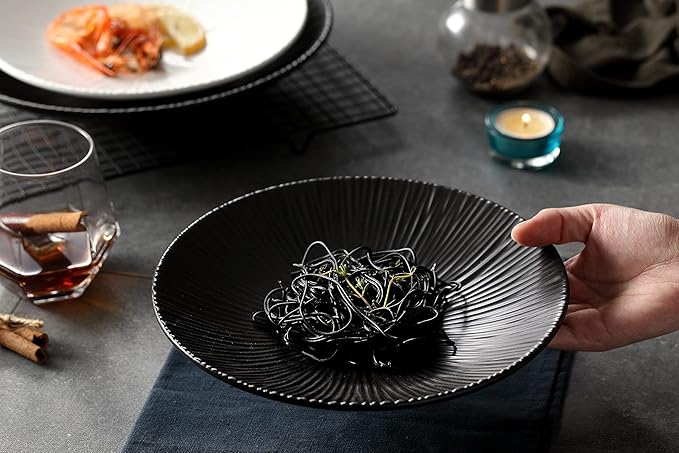 Jusalpha Set of 4-Japanese Style Porcelain Dinner Plates, Versatile Circular Serving Plates for Breakfast, Salad, Steak Dinner, PL018 (10.3 Inches, Black)