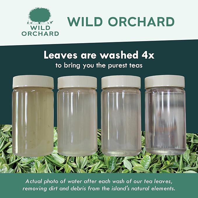 Wild Orchard Premium Grade Oolong Tea - 100% Regenerative Organic Certified - Sustainably & Regeneratively Cultivated on Jeju Island in South Korea - Loose Leaf Oolong Tea
