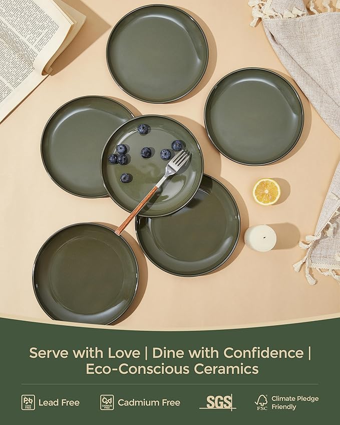 Pokini 8 Inch Ceramic Plates Set, Microwave Safe Plates, Kitchen Serving Dishes, Scratch Resistant and Dishwasher Safe, Blackish Green
