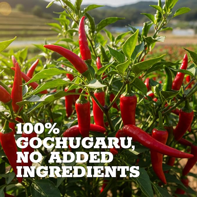 HOXY Journey of Korea Red Chili Pepper 7oz - Korean Gochugaru. Red Chili Pepper Spice Seasoning for Asian Food. MSG Free, Certified HACCP. (Coarse for Kimchi)