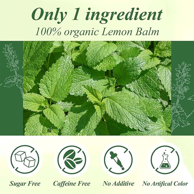 WT WEETEE Organic Lemon Balm Tea Bags 100 Counts, Pure Herbal Tea for Daily Reset, Caffeine-Free & Clean Taste