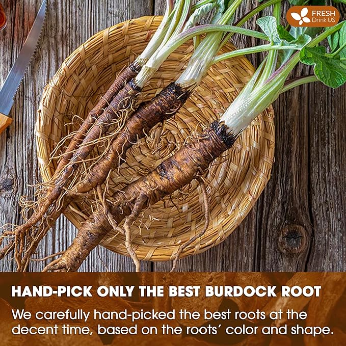 FreshDrinkUS, Premium 75 Burdock Root Tea Bags, 100% Natural & Pure, Herbal Tea. Made with Natural Material Tea Bags. No Sugar, No Caffeine, No Gluten, Vegan.