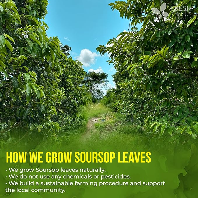 FreshDrinkUS, Premium Soursop Graviola Leaf Tea | 45 Tea Bags form Powder, 100% Natural and Pure, Handmade, Made With Natural Materials-Corn Fiber Tea Bag, Sugar/Caffeine Free, Hoja Guanabana Tea