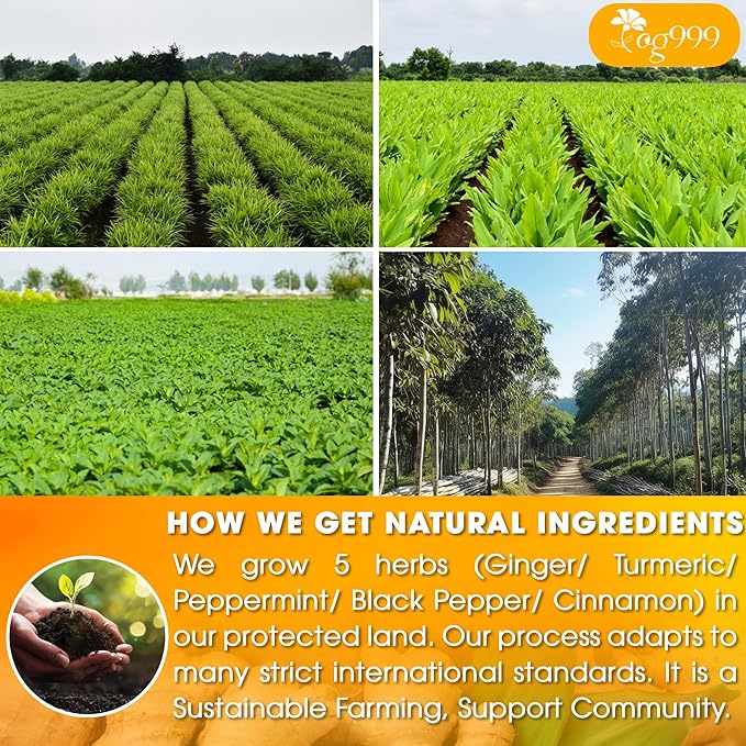 60 Tea Bags - Anti-Inflammaheb Loose Leaf Tea, 100% Natural from Ginger, Turmeric, Peppermint, Black Pepper, Cinnamon. Made with Natural Material Tea Bags. No Sugar, No Caffeine, No Gluten, Vegan.