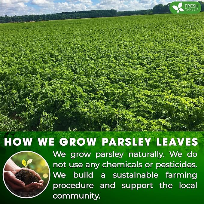 Premium 135 Parsley Leaf Tea Bags, 100% Natural & Pure from Parsley Leaves. Loose Leaf Parsley Herbal Tea. Parsley Leaf Tea. Made with Natural Material Tea Bags. No Sugar, No Caffeine, No Gluten, Vegan.