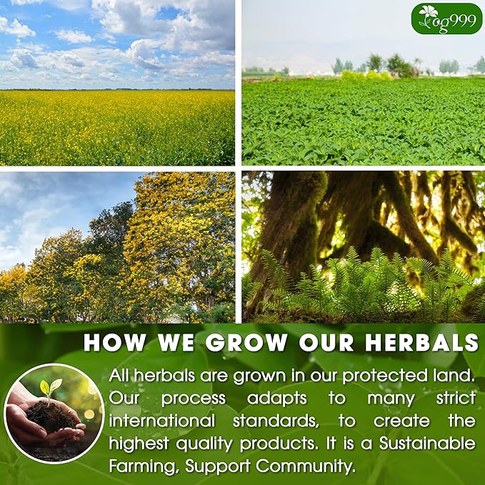 TOG999, 60 Tea Bags, Blend of Senna Leaves - Peppermint - Licorice - Fennel, 100% Natural Ingrendients, Hand-made Herbal Tea, Relieves Constipation Naturally Tea, No Sugar, No Caffeine, No Gluten, Vegan.