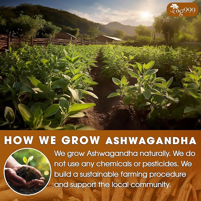 TOG999, Premium 120 Ashwagandha Root Tea Bags, 100% Natural & Pure, Ashwagandha Root Herbal Tea. No Sugar, No Caffeine, No Gluten, Vegan.