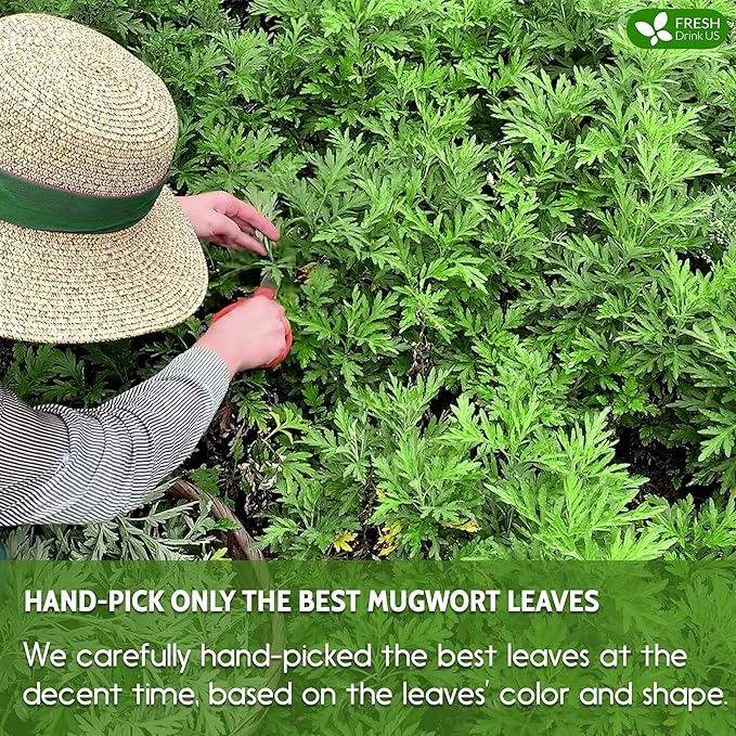 FreshDrinkUS, Premium 60 Mugwort Leaf Tea Bags, 100% Natural and Pure Mugwort Leaves. No Sugar, No Caffeine, No Gluten, Vegan.