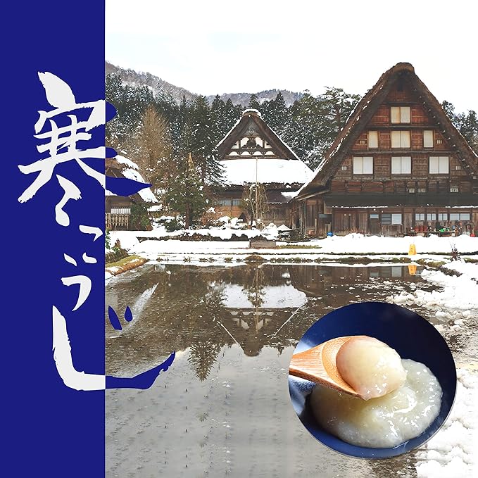 chaganju KOJI -Japanese traditional all-purpose umami seasoning of rice paste for aging marinade- 12.3oz【YAMASAN】