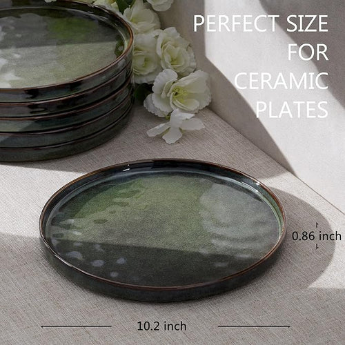 LIANYU Ceramic Dessert Plates Set of 6, 10.2 Inch Kitchen Dinner Plates Set, Porcelain Serving Dishes for Cake, Bread, Salad, Snack and Steak, Microwave, Oven and Dishwasher Safe, Ink Green