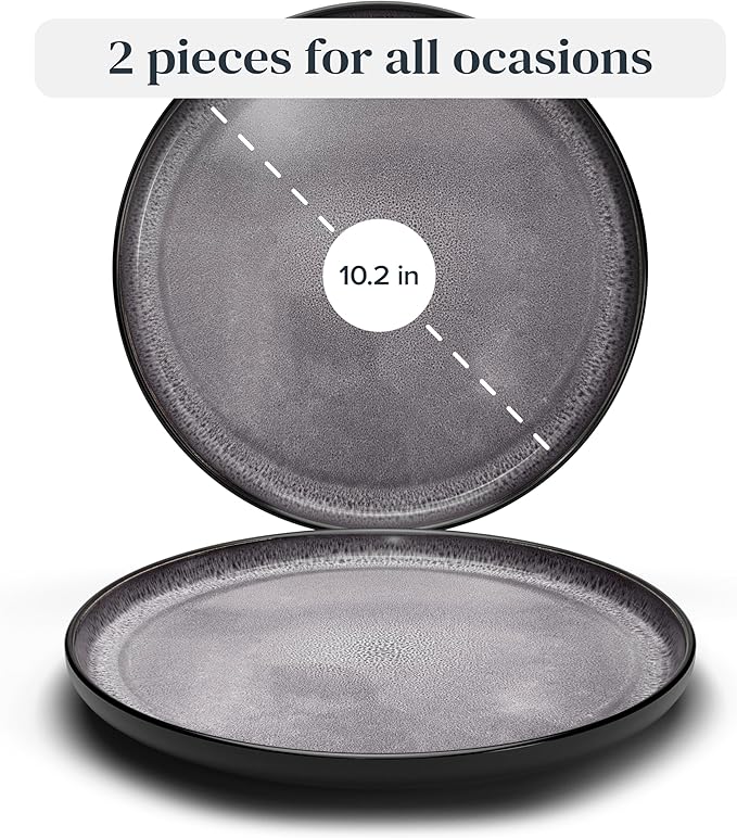 PURE LIVING INTERIOR DESIGN Stoneware Dinner Plates Set of 2, Large Dark Gray Tableware, Stylish & Durable, Dishwasher, Microwave & Scratch-Resistant