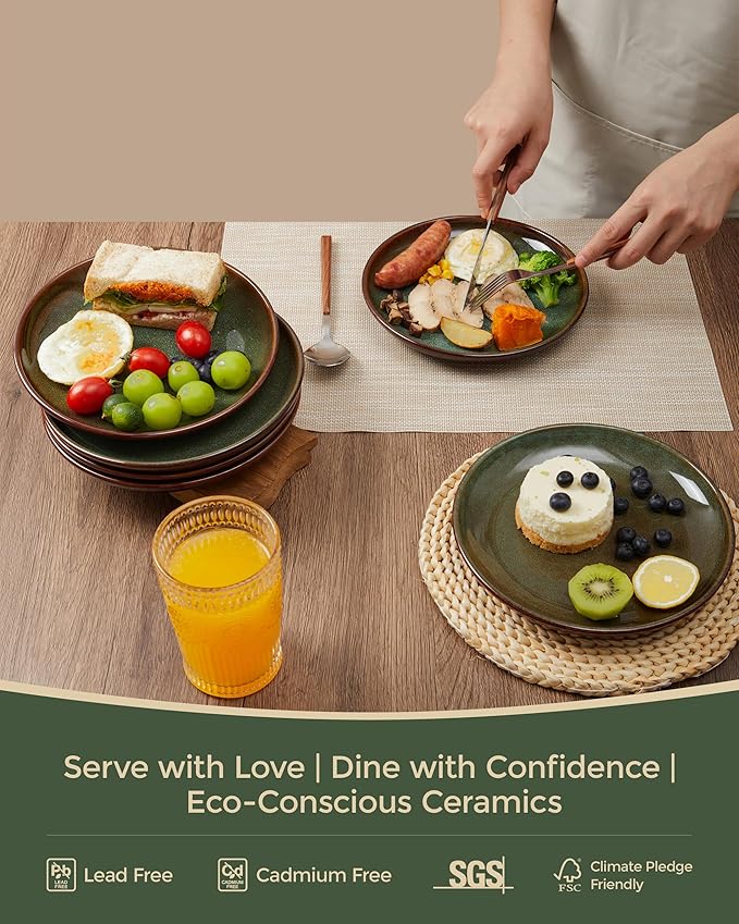 Pokini Ceramic Dinner Plates Set of 6, 10 Inch Handmade Reactive Glaze Stoneware Plates, Modern Rustic Dinnerware, Microwave & Dishwasher Safe, Scratch Resistant-Brown and Green