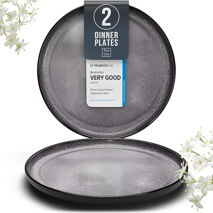 PURE LIVING INTERIOR DESIGN Stoneware Dinner Plates Set of 2, Large Dark Gray Tableware, Stylish & Durable, Dishwasher, Microwave & Scratch-Resistant