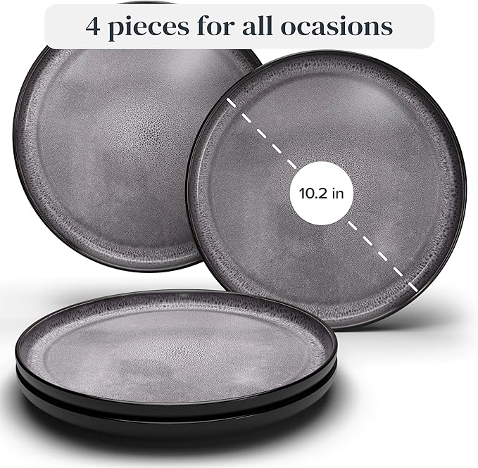 PURE LIVING INTERIOR DESIGN 4 Pcs Stoneware Dinner Plates Set - 10.2" Large Dinner Plates, Dishwasher & Microwave Safe, Scratch Resistant Stylish Plates Set of 4, Dark Gray