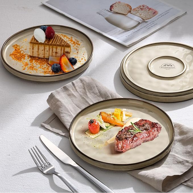 LIANYU Ceramic Plates Set for 4, 10.2In Porcelain Dinner Salad Appetizer Plates for Kitchen, Modern Round Stoneware Dining Dish Set, Scratch Resistant, Microwave, Oven and Dishwasher Safe, Sandy Beige