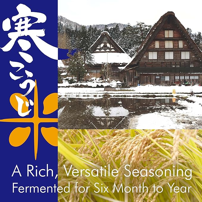 chaganju KOJI -Japanese traditional all-purpose umami seasoning of rice paste for aging marinade- 12.3oz【YAMASAN】