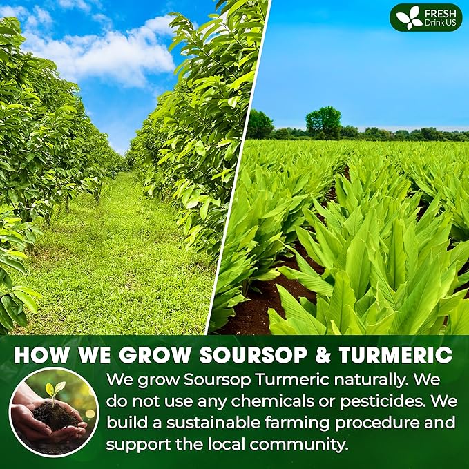 FreshDrinkUS, Premium 25 Soursop Turmeric Tea Bags, 100% Natural, Blend of Soursop Leaves, and Turmeric Root. Made with Natural Material Tea Bags. No Sugar, Vegan.