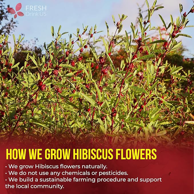 FRESHDRINKUS 60 Hibiscus Flowers Tea Bags, 100% Natural, Pure from Hibiscus Flowers. Loose Flower Hibiscus Herbal Tea. Hibiscus Flower Tea. No Sugar, No Caffeine, No Gluten, Vegan.