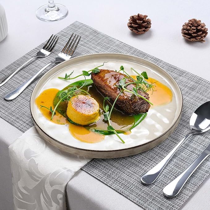 LIANYU Ceramic Plates Set for 4, 10.2In Porcelain Dinner Salad Appetizer Plates for Kitchen, Modern Round Stoneware Dining Dish Set, Scratch Resistant, Microwave, Oven and Dishwasher Safe, Sandy Beige