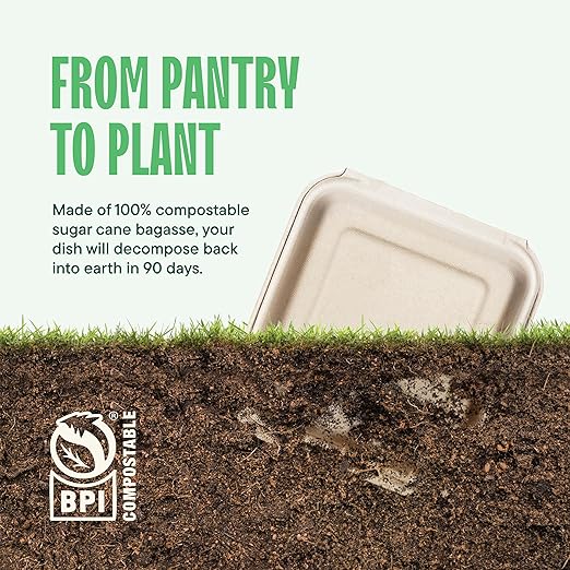 [Bulk - 200-Count] 100% Compostable to Go Containers 8x8" Clamshell Take Out Food Container with Hinged Lid - Disposable Togo Plates - Biodegradable Eco-Friendly Takeout Box Made of Sugar Cane Bagasse