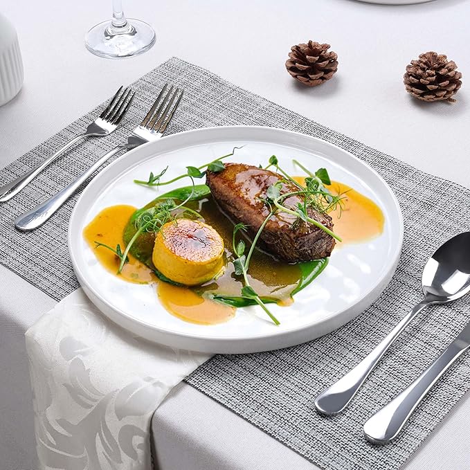 LIANYU Dinner Plates Set of 6, 10.2 Inch Large Ceramic Dessert Plate for Kitchen, Porcelain Serving Dishes for Salad Appetizer Cake Bread, Scratch Resistant, Microwave & Dishwasher Safe, Polar White