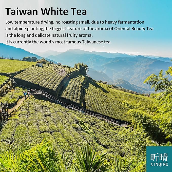 Xin Qing White Oolong Tea - Oriental Beauty High Mountain Loose Leaf Tea 75g